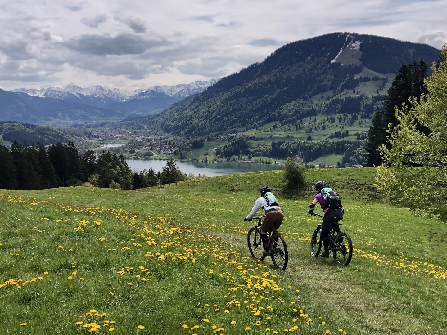 Mountainbike Tour mit Hörnerliebe durch die Hörnerdörfer